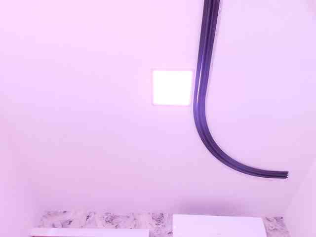 katsumi-yan webcam