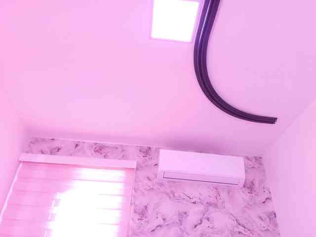 katsumi-yan webcam