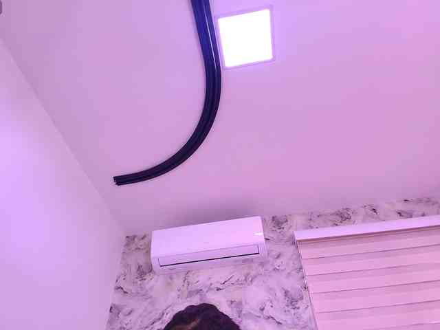 katsumi-yan webcam