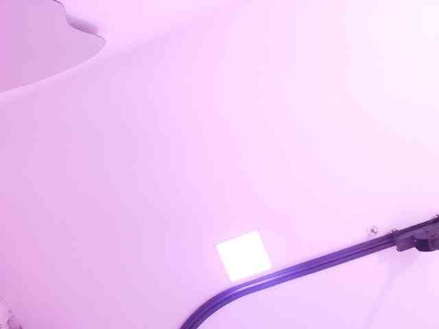 katsumi-yan webcam