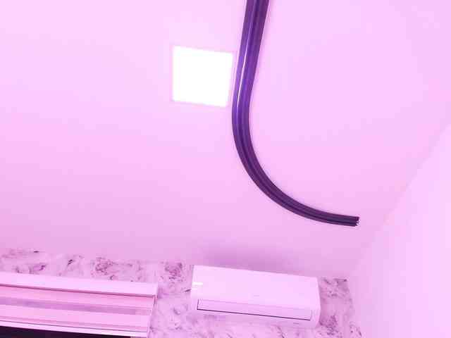 katsumi-yan Live Webcam on BongaCams