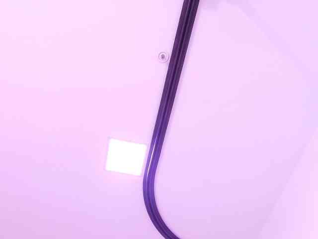 katsumi-yan webcam