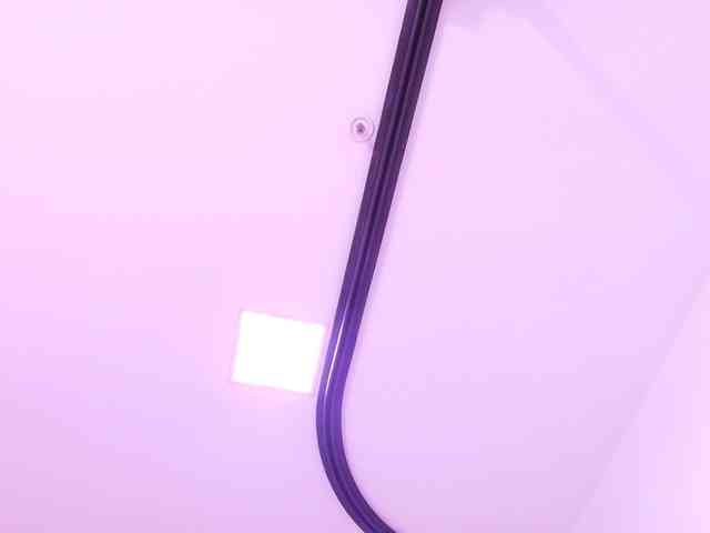 katsumi-yan webcam