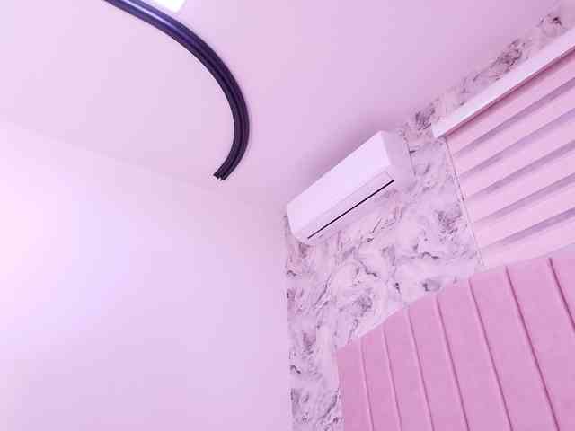 katsumi-yan webcam