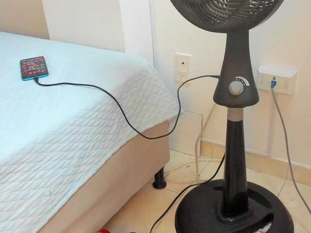 lilyrosee1