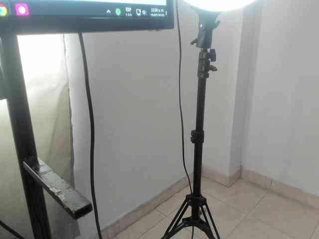 lilyrosee1 webcam