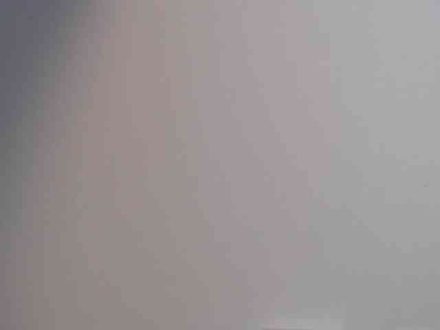 lilyrosee1 webcam