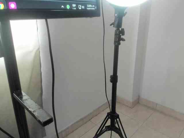 lilyrosee1 webcam