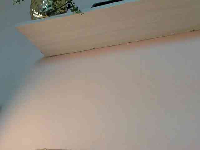 lilyrosee1 webcam
