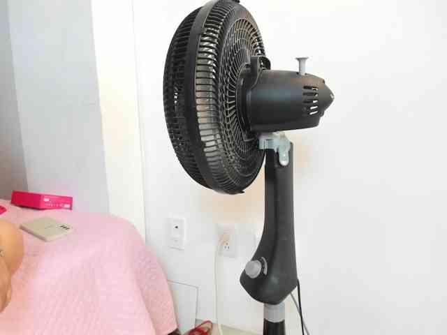 lilyrosee1 webcam