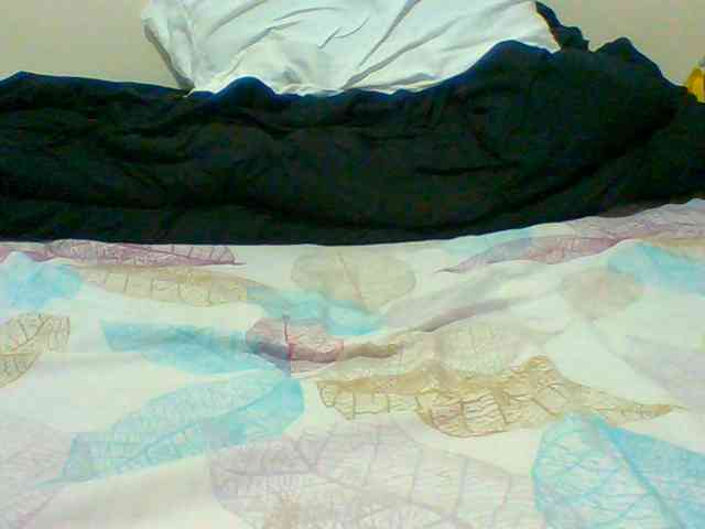 Bella-22 webcam