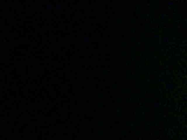 Bella-22 webcam