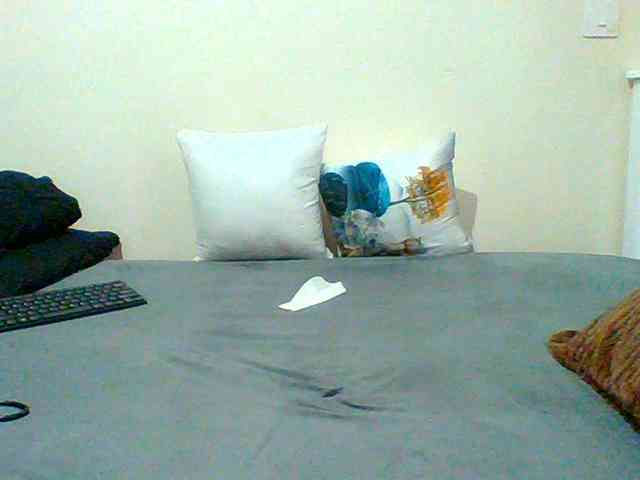 Bella-22 webcam