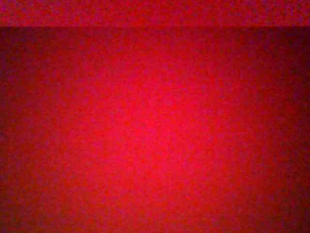 Bella-22 webcam