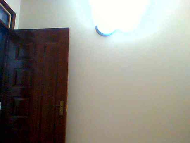 Bella-22 webcam