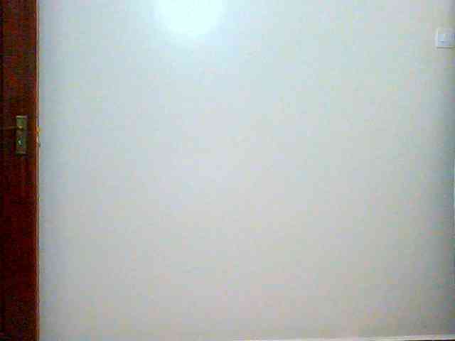 Bella-22 webcam