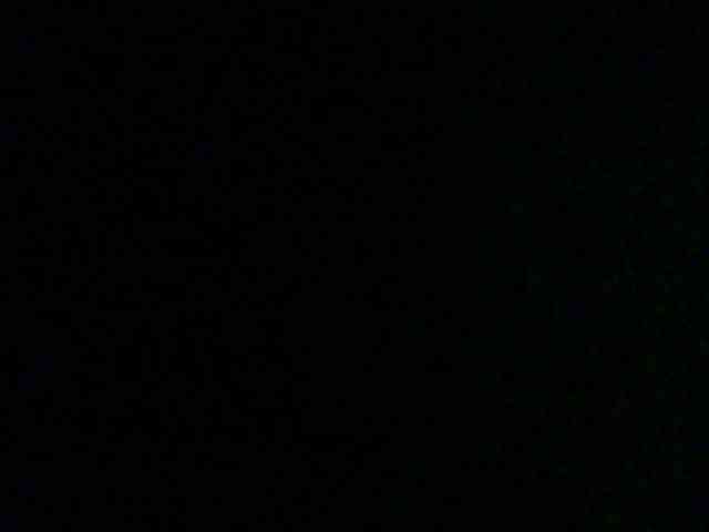 Bella-22 webcam