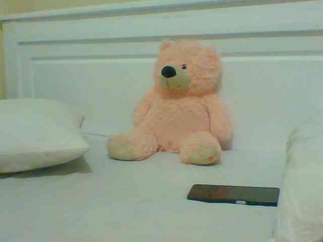 Bella-22 webcam