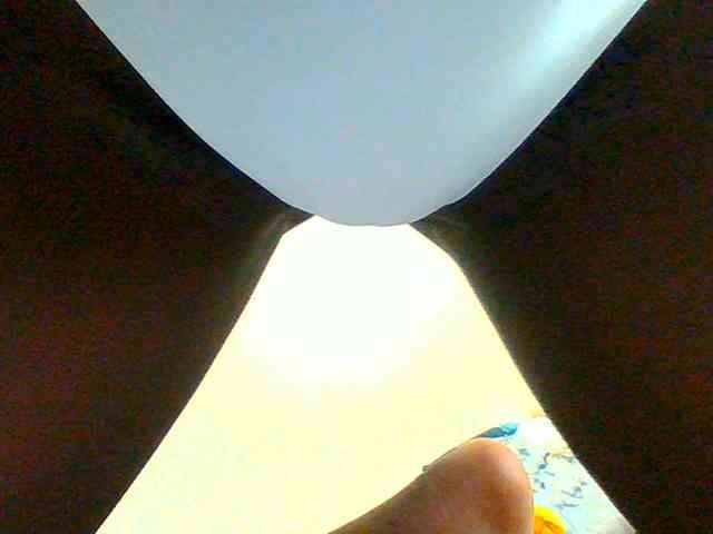 Bella-22 webcam