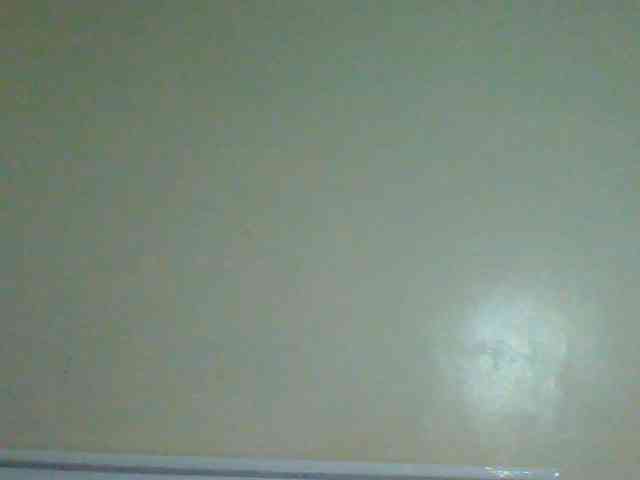 Bella-22 webcam