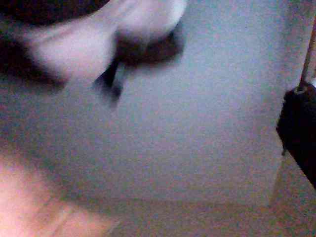 Bella-22 webcam