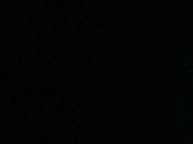 Bella-22 webcam