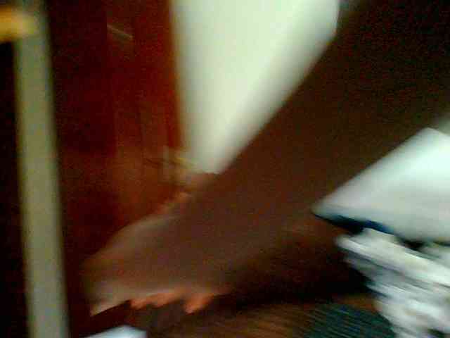 Bella-22 webcam