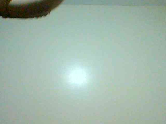Bella-22 webcam
