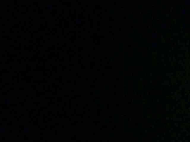 Bella-22 webcam