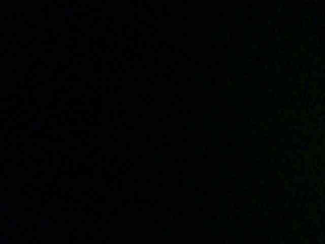 Bella-22 webcam