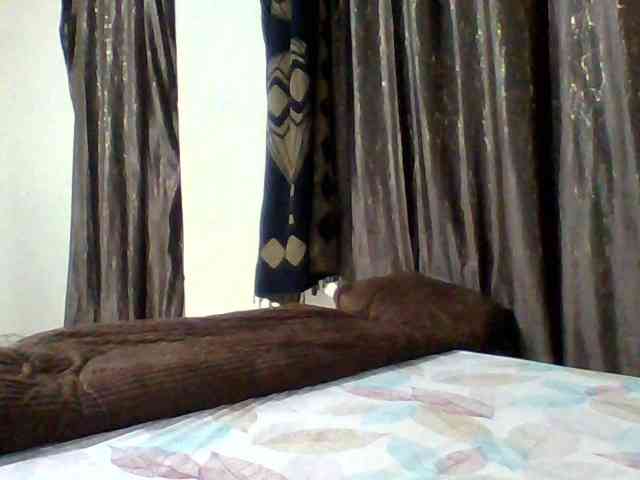 Bella-22 webcam