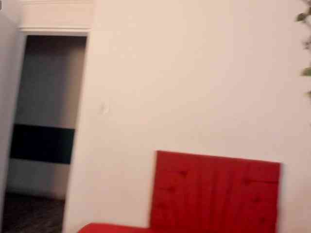 TepesLisa webcam