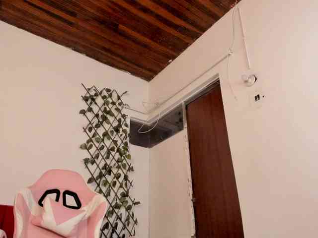 TepesLisa webcam
