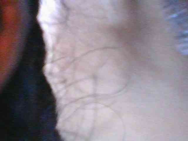 Murellah1a webcam