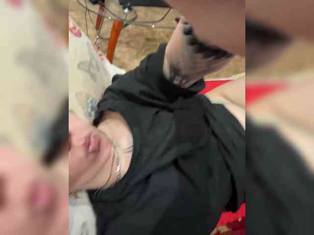 arlekinotwwit webcam