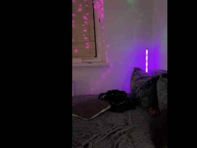 Summer6Flower webcam