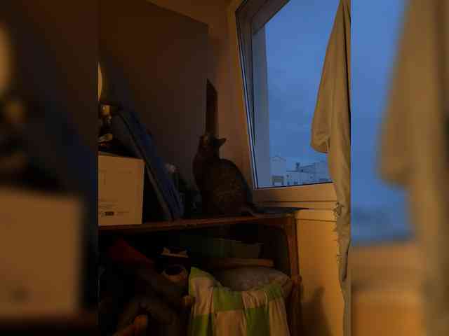 SweetMi333 Sex Cam Show