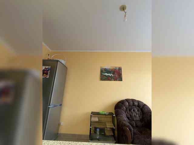Summer6Flower webcam