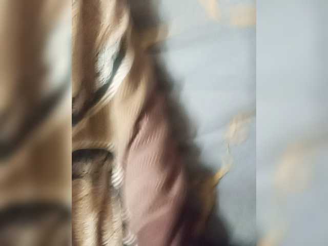 parapapa13