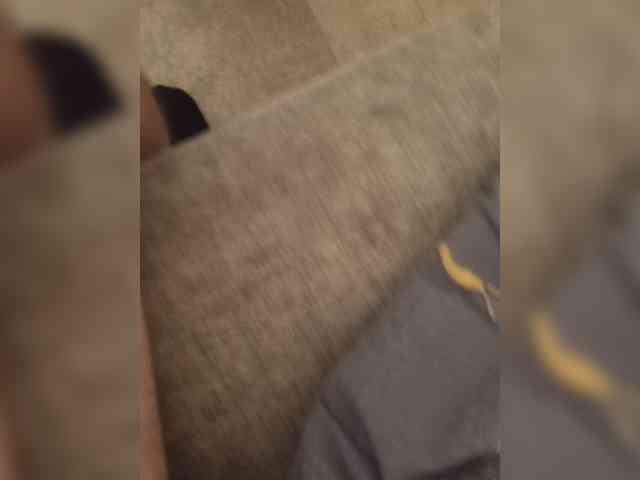 parapapa13 webcam