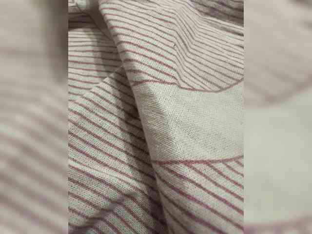 parapapa13 webcam