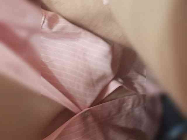 parapapa13 webcam