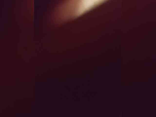 parapapa13 webcam