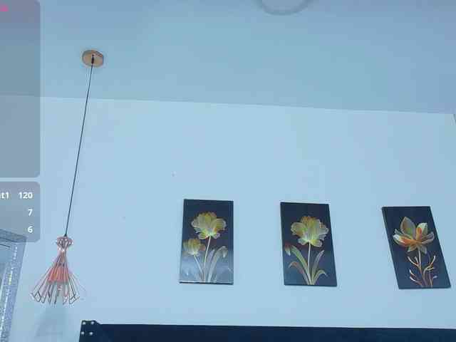 Naturalebony webcam