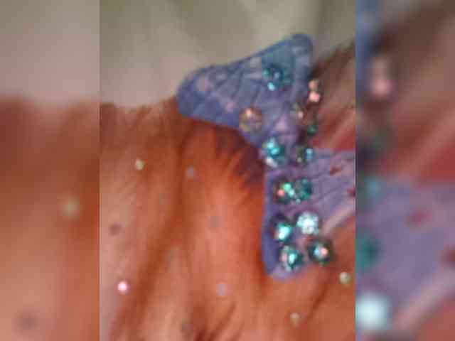 ScarLett_69 webcam