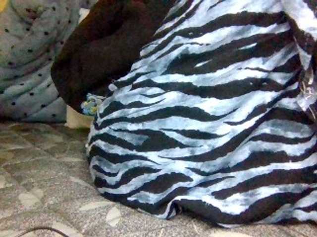 Cute-Selena2 live cam on BongaCams