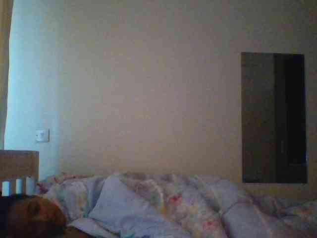 Twinflame webcam