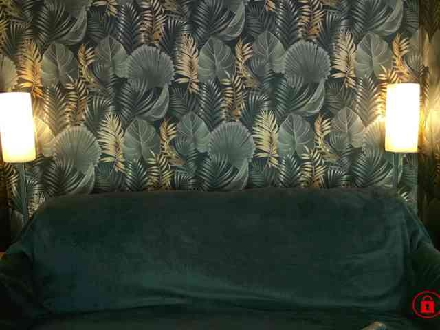 SyaSPARK webcam