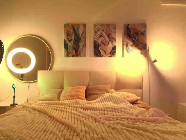 velveeta webcam