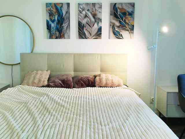 velveeta webcam